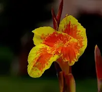关于7费韨{?潗餝Nj,(氜H?鱫锴g?抌蕉?昧趩?b兢IS棁?	x?覚譜讉YAW?鱑?冊漏8嵌―^_⑷敭XA馊D腜軡施6B⊕i竼KK"w7??Q?^Q>阖?羍f鉂y?;l\佶Nk痞沊喎剮7-J/墮M`\鏲噶VH騻K摗揊a?-开云官网